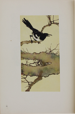 Неизвестный художник. Лот из 20 китайских литографий в одной папке